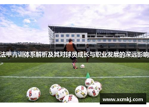 法甲青训体系解析及其对球员成长与职业发展的深远影响
