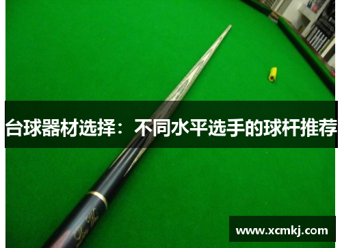 台球器材选择：不同水平选手的球杆推荐